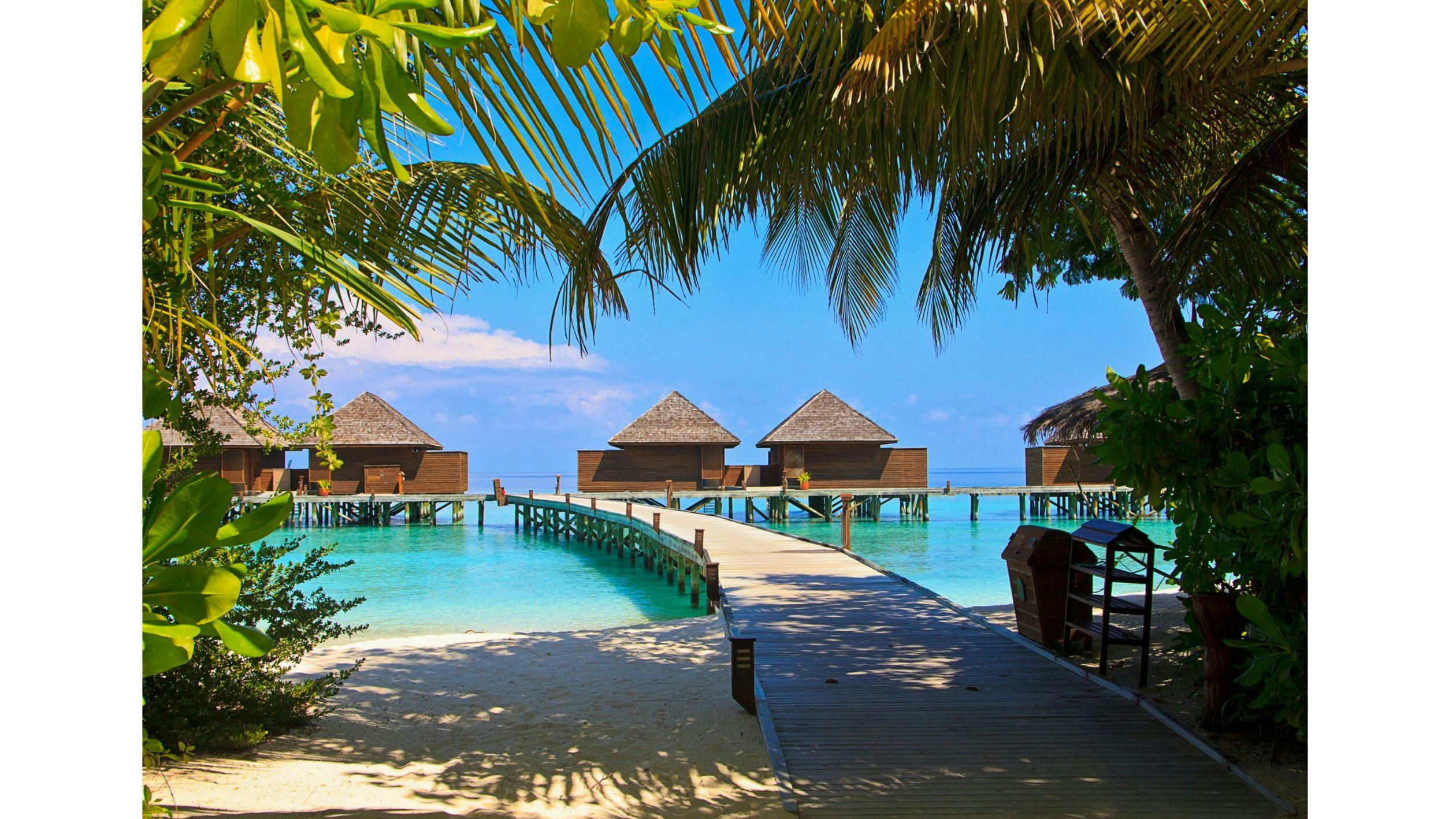 December – Start of the Peak Season